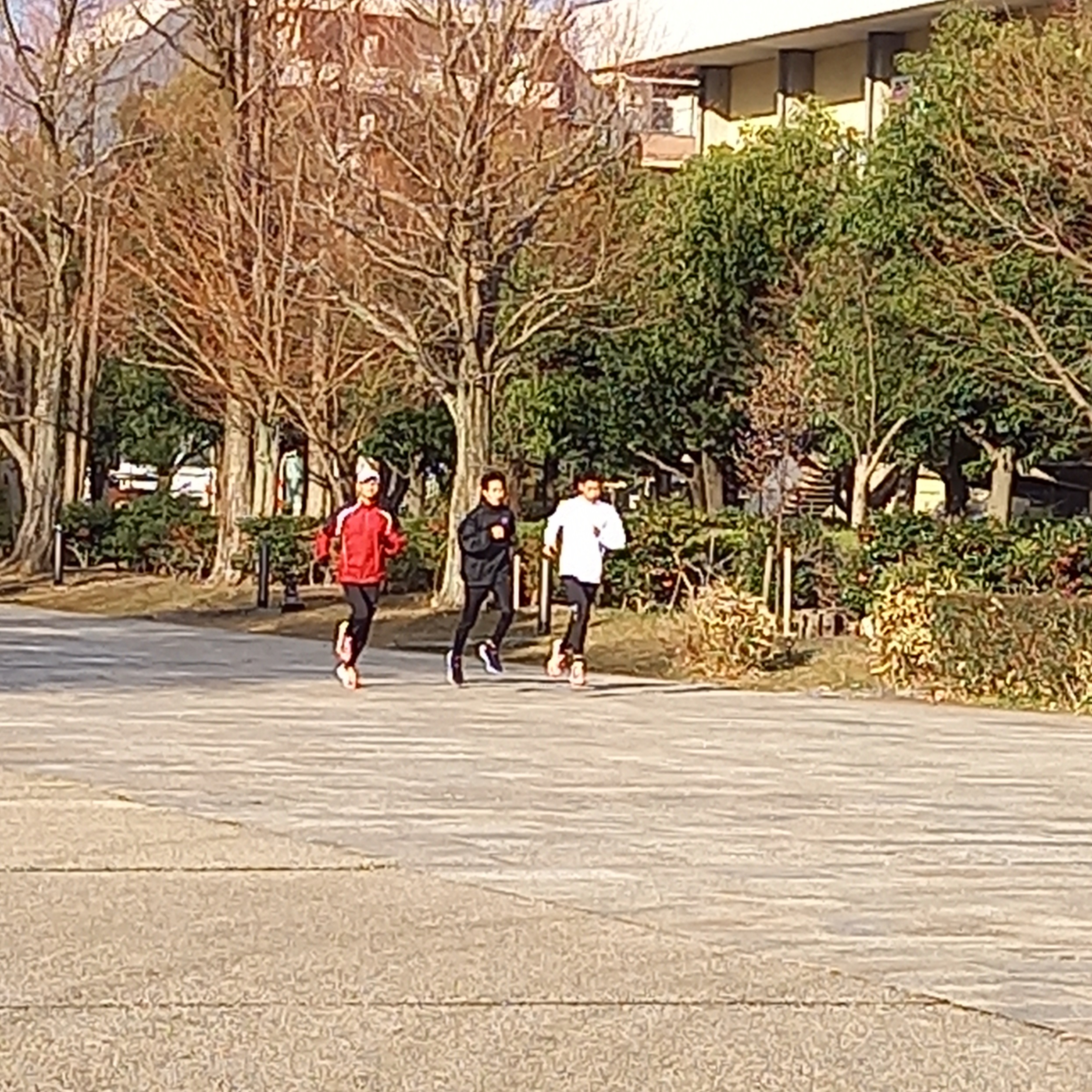 陸上競技部 全国高等学校駅伝競走大会(12/25) | 八千代松陰学園